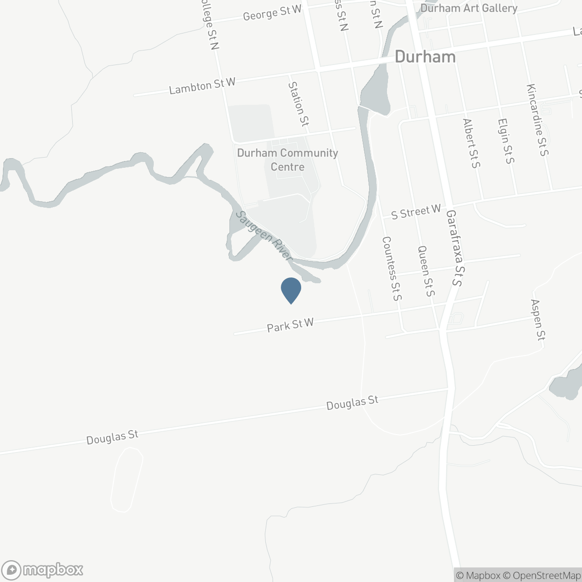 432 PARK STREET W, Durham, Ontario N0G 1R0